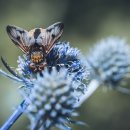 합기도예무관 이미지