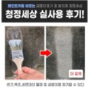 [올그린코리아 바르는곰팡이제거제] 신축 아파트에도 생기는 물곰팡이, 이걸로 해결했어요!