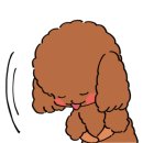 뭐줄까오늘간식 이미지