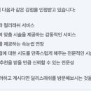 딜리스래쉬