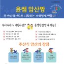 대저중앙초등학교 이미지