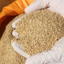 달리도 민박 이미지