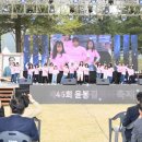 예산-46 충남일보