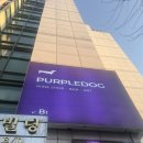 카카오독 | [석촌/송파] 맛있는 음식과 취항저격인 와인이 가득한 와인바- "퍼플독 송파본점"