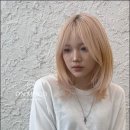 인화미용실 네이버블로그
