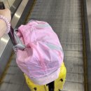 제주공항근처난장게스트하우스 | 제주공항 근처 난장게스트하우스에서 2박 3일｜뚜벅이 강추