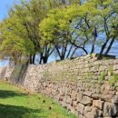 의사로43번길 이미지