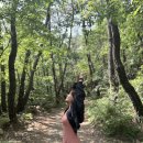 [쉘콥 뉴스🕊️] 쉘코퍼레이션 올인- 원피스 (등산,수영,테니스,러닝,일상 ..모두를 하나로👗 ) | 여름 세일...