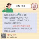 북경외국어학원