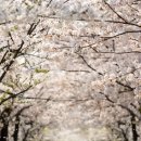 봄의 문턱, 싹이 튼다 이미지