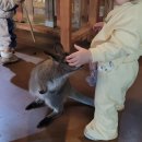 동물원주유소 개방화장실 | 주렁주렁 하남 할인 무료입장 꿀팁, 아기 실내동물원 돌아기 16개월 유모차 주차장 수유실