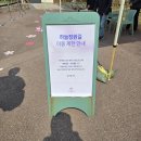 매화랜드 | 🌸하늘정원길 지금 어때요? 에버랜드 매화 개화 현황+가든패스 도슨트 리뷰