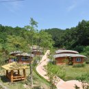 자연과별유스호스텔 이미지