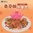 [가톨릭 성모병원] 맛과 영양 다 잡은 주꾸미의 발견과 효능 이미지