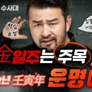 2022년운세-임인년(壬寅年)경금(庚金)일간 운세일기예보-내사주내가보기 이미지