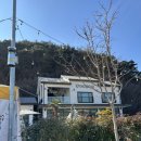 똥개애견카페 이미지