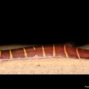 (주)쿨리 이미지