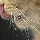 단지까까 이미지