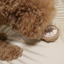 프랑테리 펫푸드 이미지