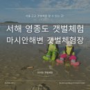 인천의 갯벌 이야기 | 서해 영종도 아이랑 갯벌체험, 마시안해변 갯벌체험장 (재방문의사XX)