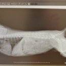 펫 파라다이스 동물병원 이미지