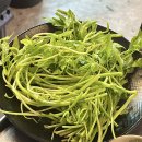 아담 | 부천 내동 삼겹살 맛집 두자매네 아담 정육식당 솔직 후기