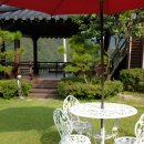 비올레띠 이미지