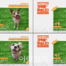 (주)반려애수 이미지