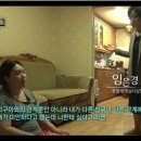 유앤아이해피심리상담센터한국동물매개심리치료학회연구소