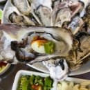 포차갬성 | 석화 &amp; 바지락 칼국수 3대 천왕 맛집 내돈내산 후기 :: 대전 또또포차