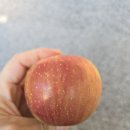아침밥 컬렉션~ 이미지