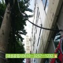 에이치조은 이미지