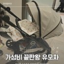 어반하우스 | 절충형유모차 추천 하우스오브몽키 어반라이더 후기 + 10종 비교