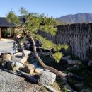 나무집 펜션 이미지