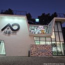 공공미술 프로젝트( | 트리정보(2025야간경관전시적설/울주공공미술프로젝트개화/새울파빌리온크리스마스트리/간절루/울산가볼...