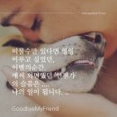 초복이네동물농장 이미지