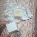 파주국제유치원 | 2024 평화롭고 무해한 반려견동반 비건페스티벌 2탄 후기 (반려견과 안내광고영상을 찍었습니다)