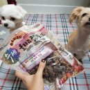 누렁이도 찰스로 애견샵 이미지