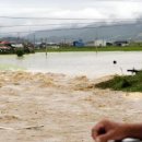 안성 월동천 이미지