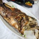 [경주] 수평선회타운 내돈내산 솔직후기 바다뷰 횟집