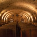 로타(LOTA) 이미지