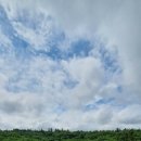 파출박사 - 강남구 | 파출박사