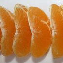 월광농장 이미지