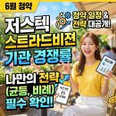 비젼세탁 | 져스텍 스트라드비젼 기관 경쟁률 6월 공모주 청약 일정 및 나만의 펑약 전략(균등, 비례)