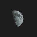 달 - 보성군 충의로 216 | 달