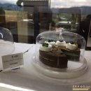 안성면116 | 220902-0903 | 무주반딧불이축제~대전