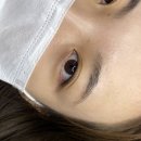 쌍용자동차강진서비스프라자 | 더나인뷰티에서 속눈썹펌이랑 브로우리프트 같이 받은 찐 후기