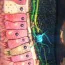 경희채움한의원 이미지