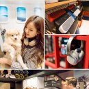 리얼오디오 이미지