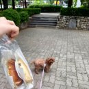 CU화정달빛1단지점 | 화정 베이글 맛집 베이글앤드 쫀득쫠깃